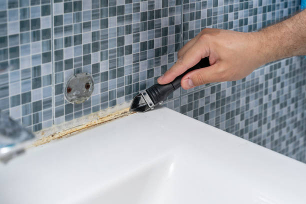Mold Removal and Inspection in Decatur, AL